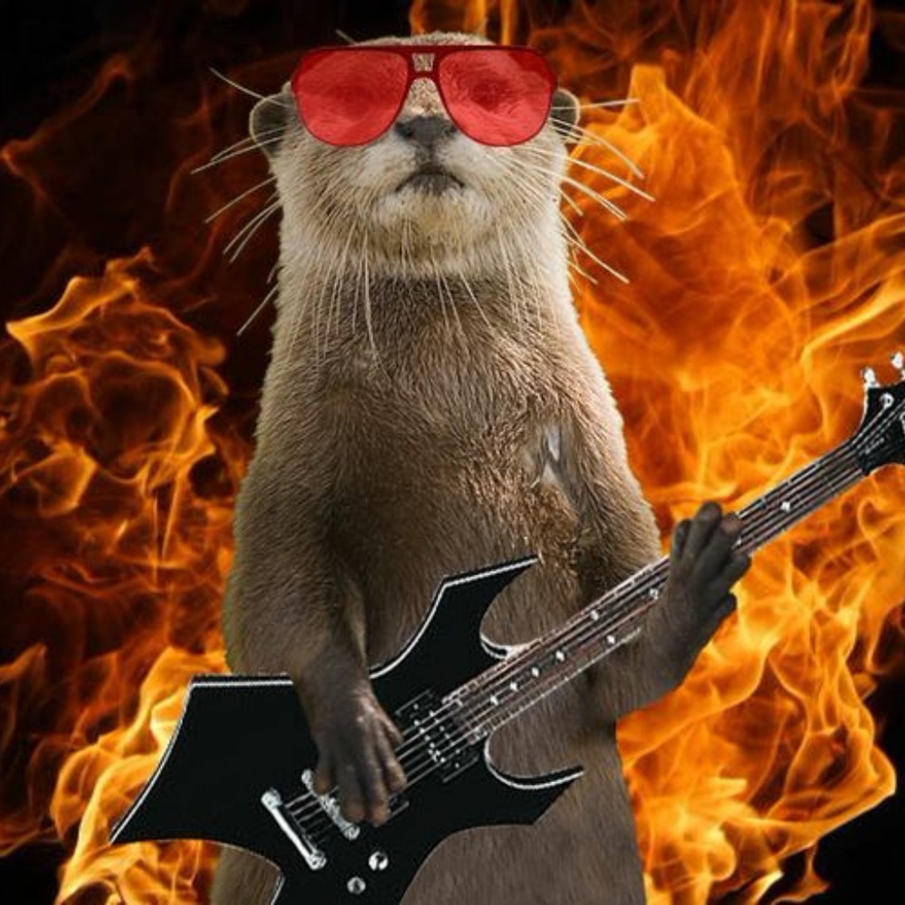 Otterly Hello!